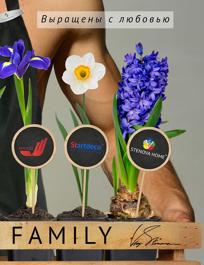 Stenova Magazine 2019 - фото 3