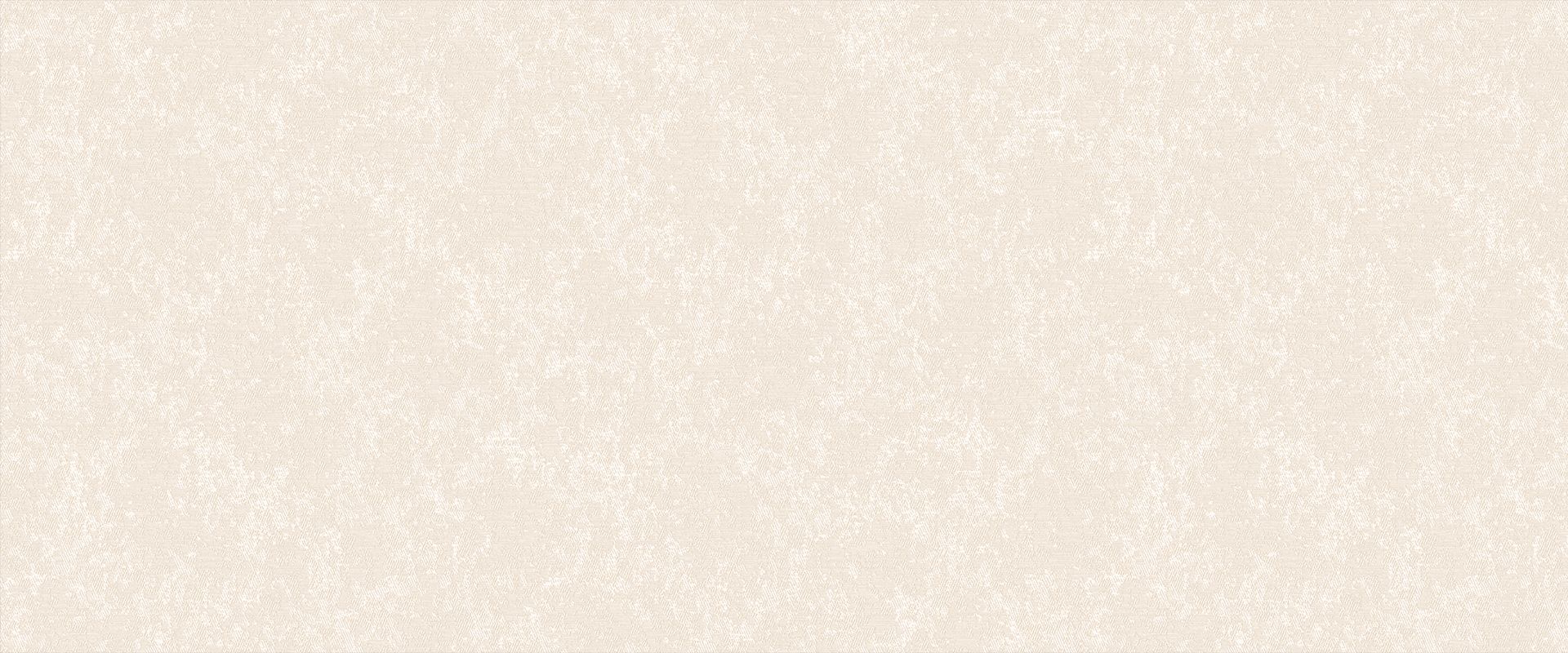 Фон SANDRO 889902