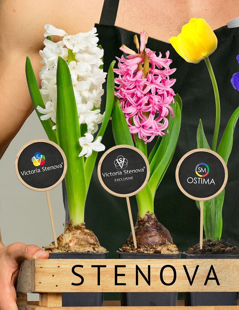 Stenova Magazine 2019 - фото 2
