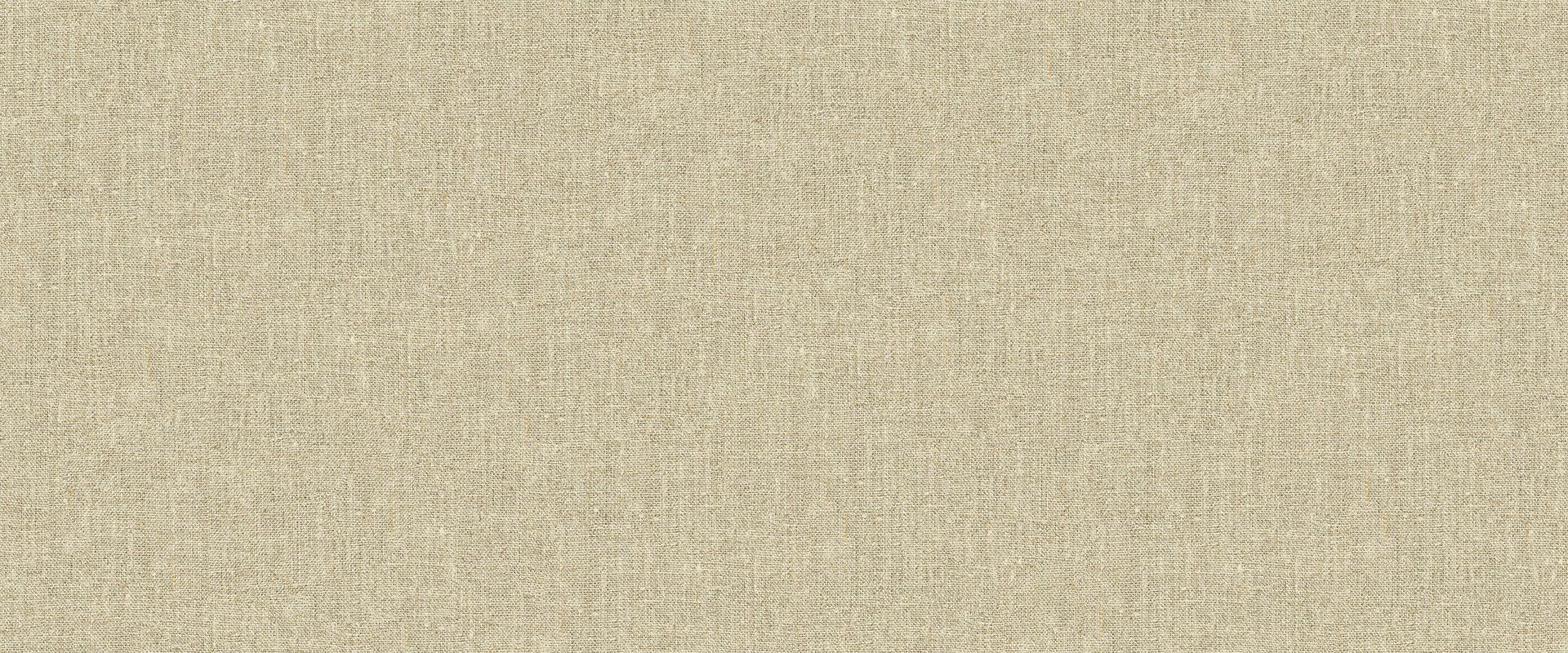 Фон DISCOVERY 984082