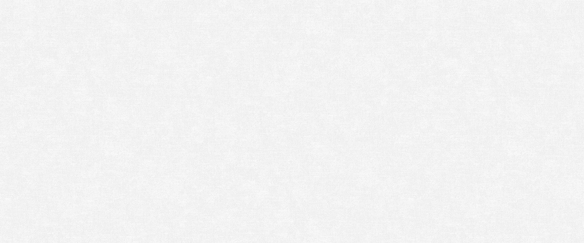 Фон RITTER 989697