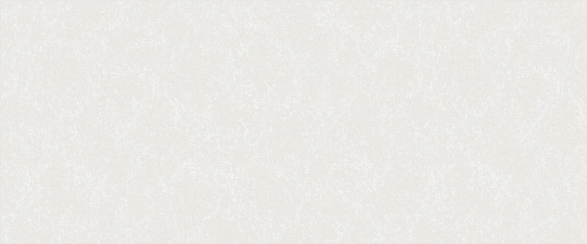 Фон SANDRO 889901