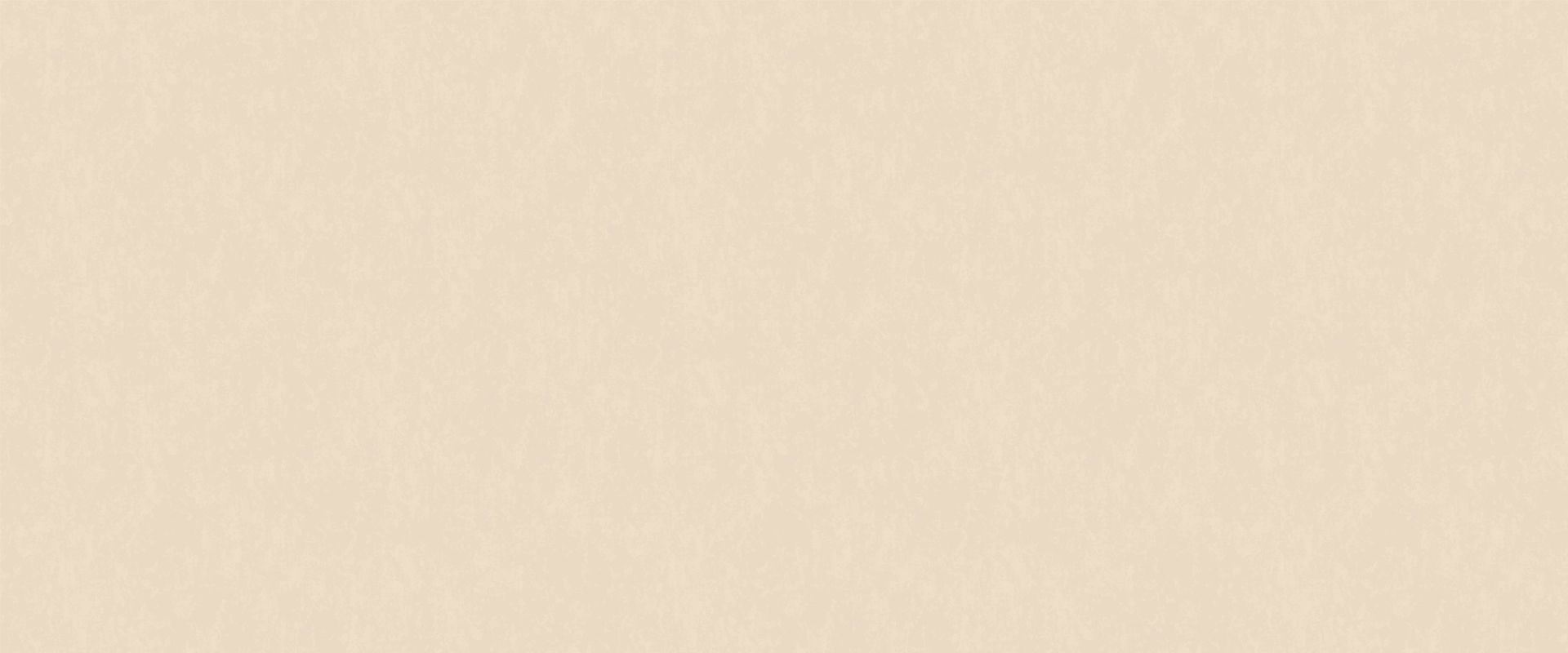 Фон SANTINO 88088