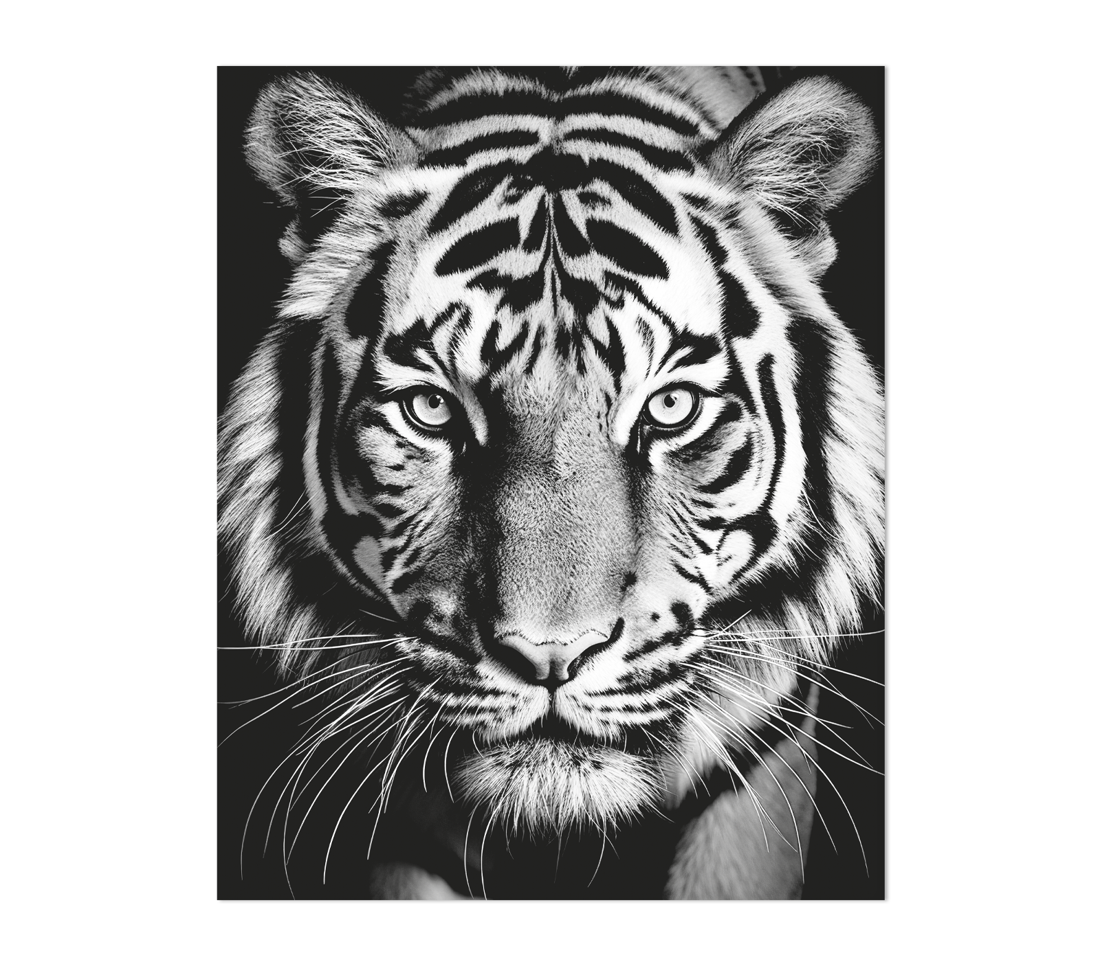 Картина на стекле TIGER арт.8145006 - фото 3