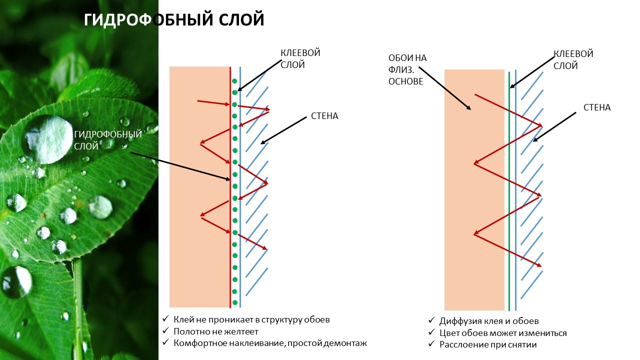 Гидрофобность - Фото 1