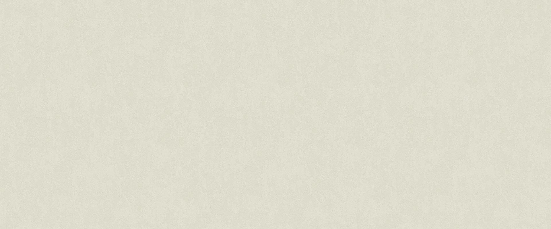 Фон RUDOLF 888162