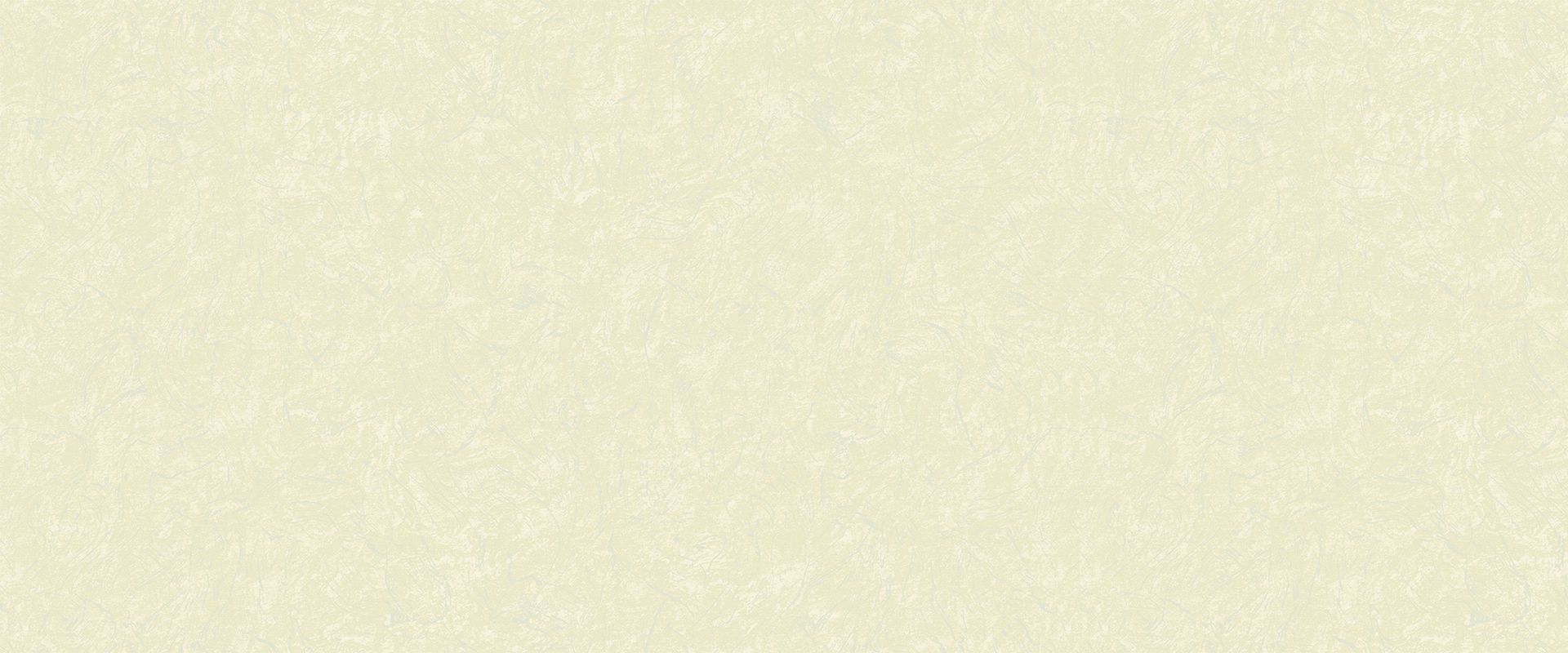 Фон PAULINA 888663