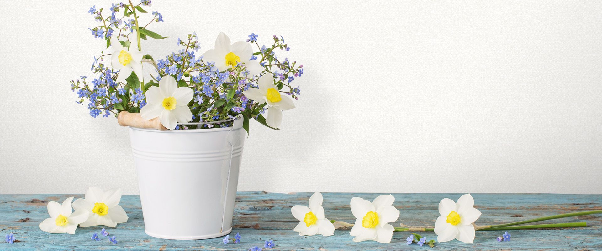 Фон NEZABUDKA 88202 - Интерьер - фото 1