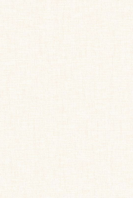 Фон LABIRINT 888762