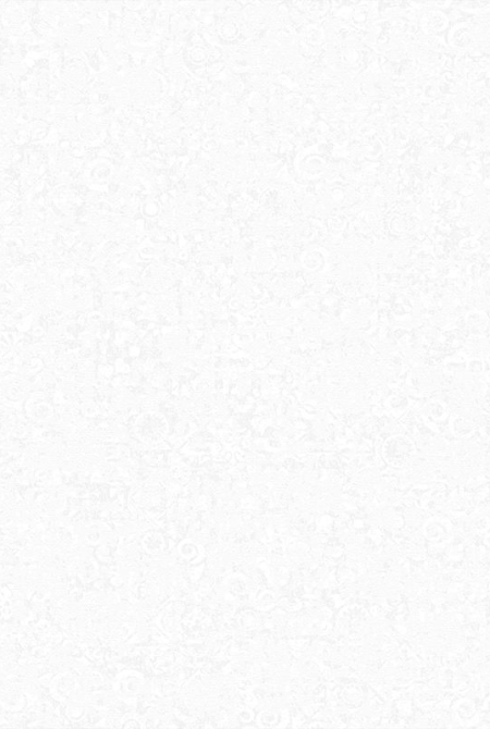 Фон STEFANIA 888821