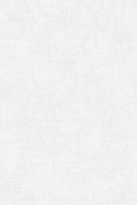 Фон CASABLANCA 998371