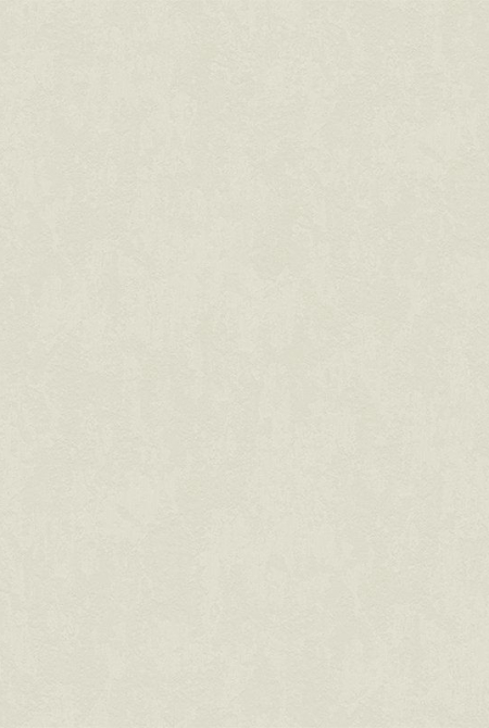 Фон RUDOLF 888162