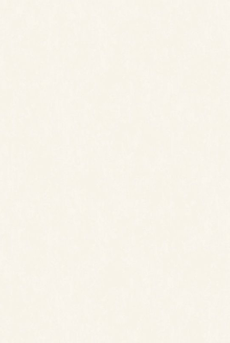 Фон SANTINO 88086