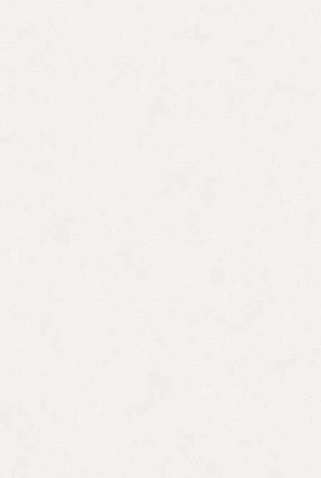 Фон  SANTINO 88082