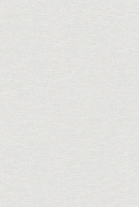 Фон NEZABUDKA 88204