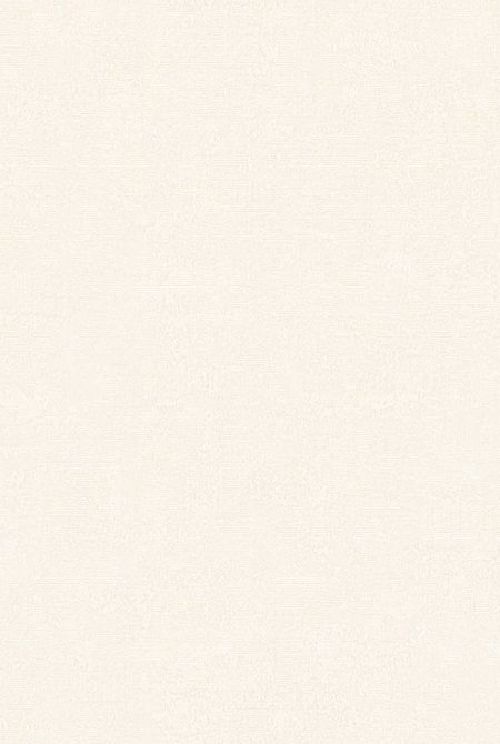 Фон BOSFOR 889266