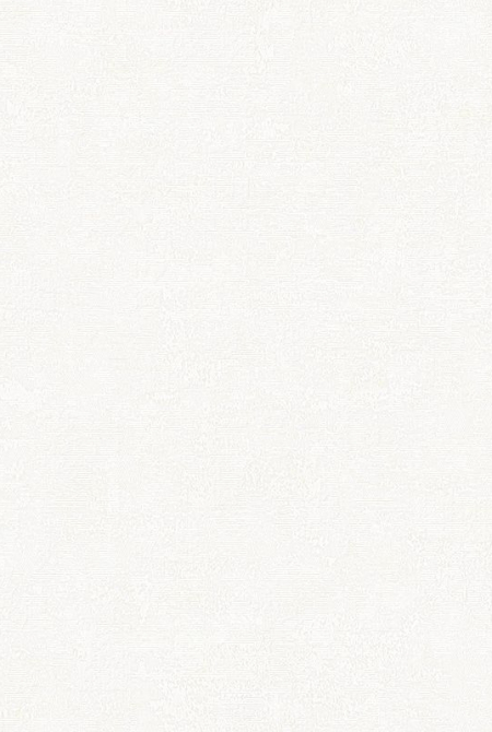 Фон BOSFOR 889261