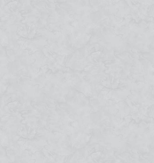 Фон PRESTIGE 589117