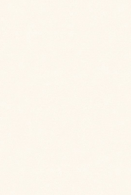 Фон BOSFOR 889262