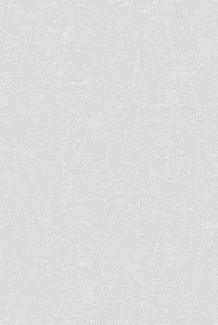 Фон BOSFOR 889264