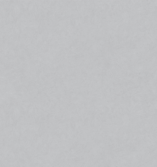 Фон MAGNOLIA 585117