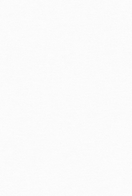 Фон NEZABUDKA 88201