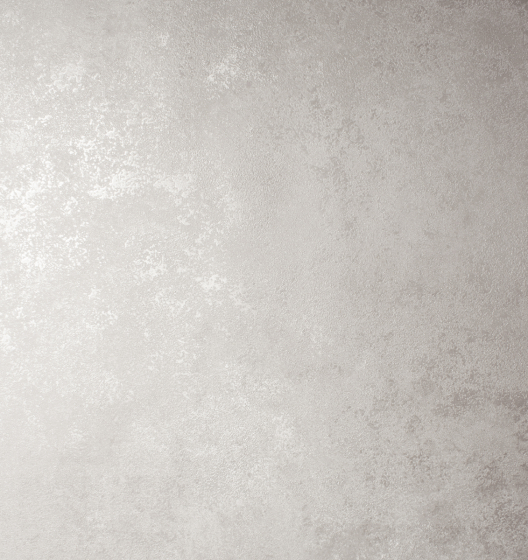 Фон RICHARD 585057