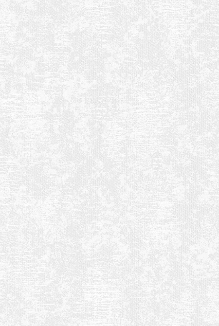 Фон PATRICIO 88241