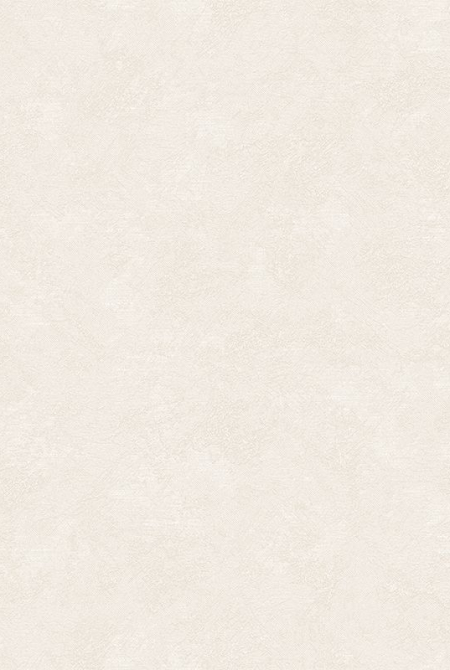 Фон CONCEPT 889282