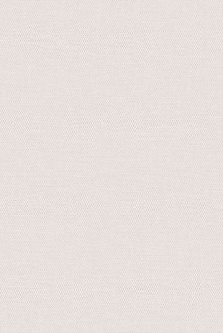 Фон HORIZONT 889488