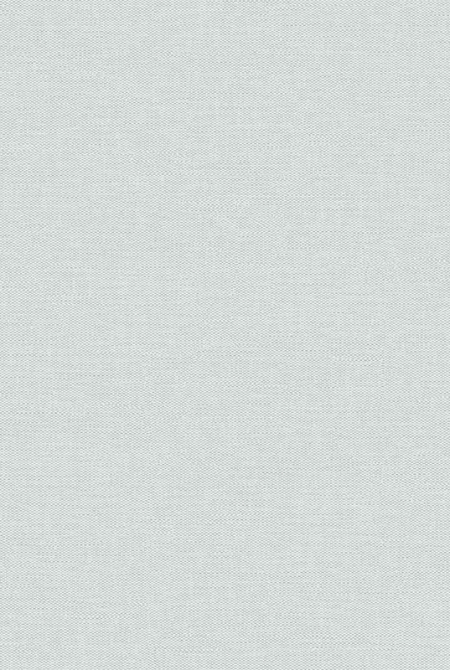 Фон HORIZONT 889484