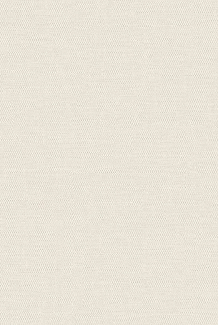 Фон HORIZONT 889486