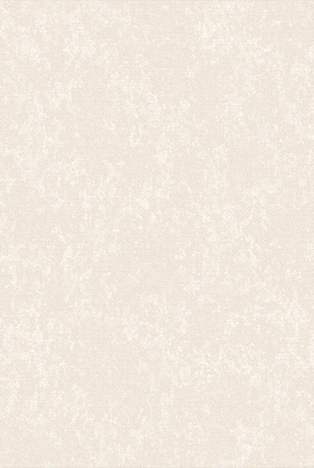 Фон SANDRO 889902