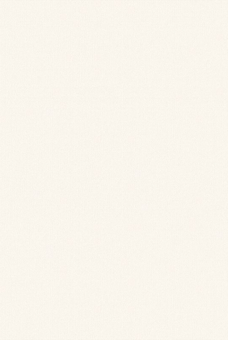 Фон OPTIMA 998273