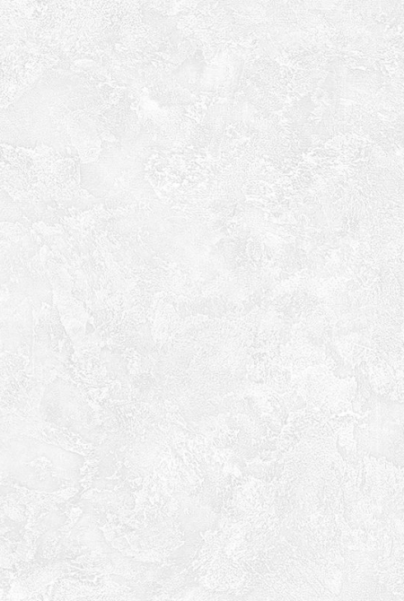 Фон FREESTYLE 88342