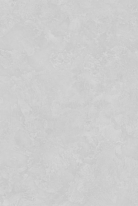 Фон FREESTYLE 88343