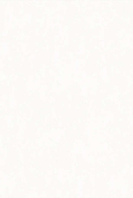 Фон ALEXANDER 998041