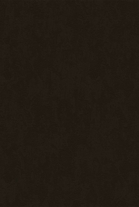 Фон ALEXANDER 998049