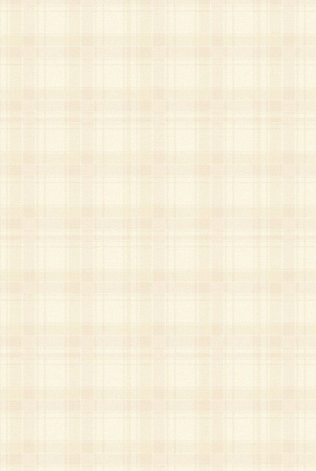 Фон SCHOOL 983062