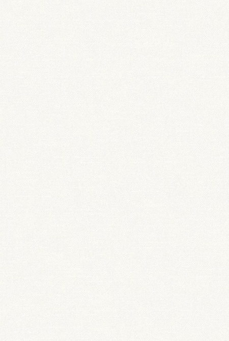 Фон RITTER 989691