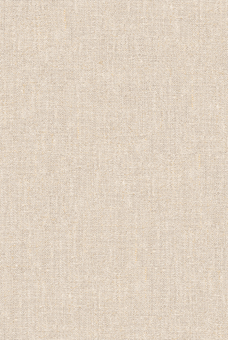 Фон DISCOVERY 2.0 989858