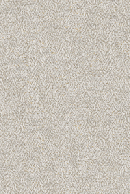 Фон SAFARI 989898