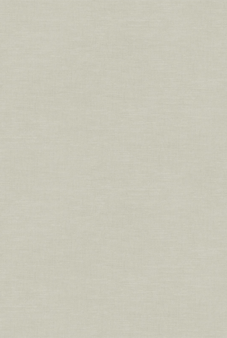 Фон PANTONE 989933