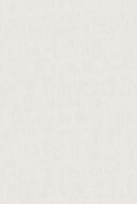 Фон BOUNTY 281224