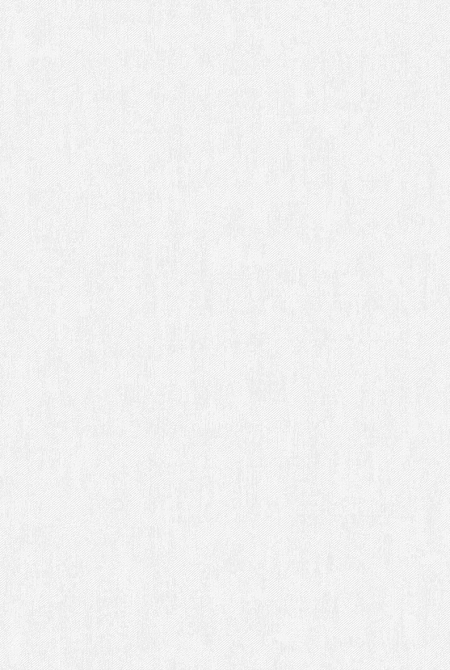 Фон BOUNTY 281225