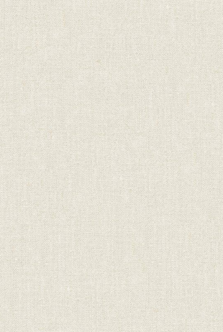 Фон DISCOVERY 984081