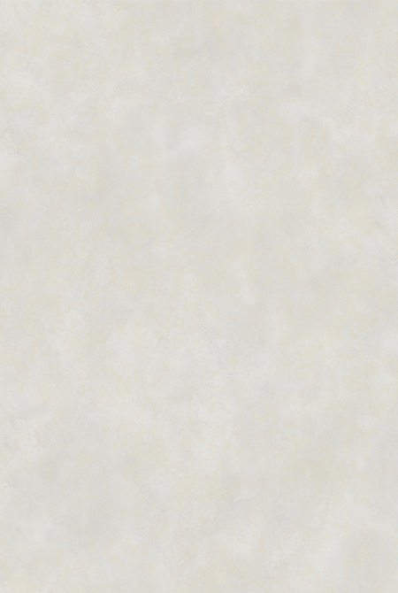 Фон SAKHALIN 88823