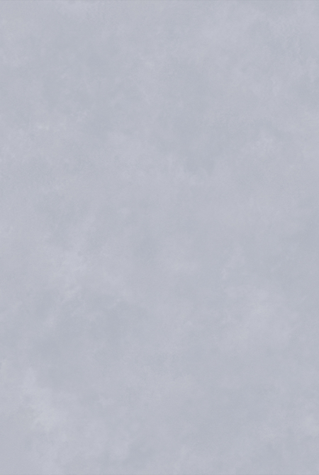 Фон CHARME WHITE NIGHTS 281428