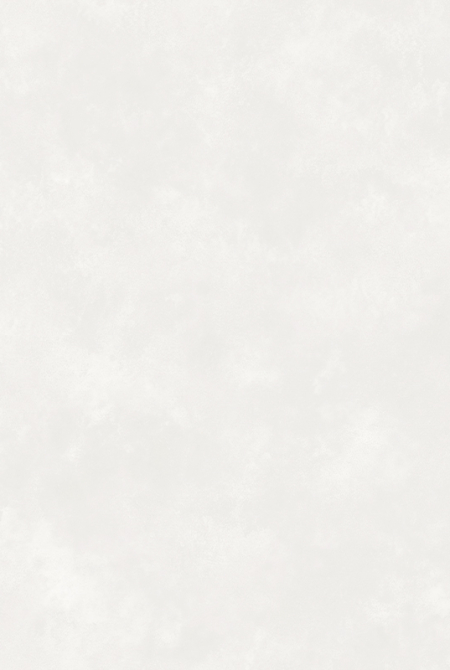 Фон CHARME MILKY WAY 281421