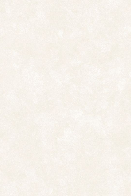 Фон BALANCE 281982